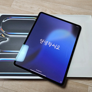 아이패드 프로 m4 13인치 256+ 애플펜슬 프로