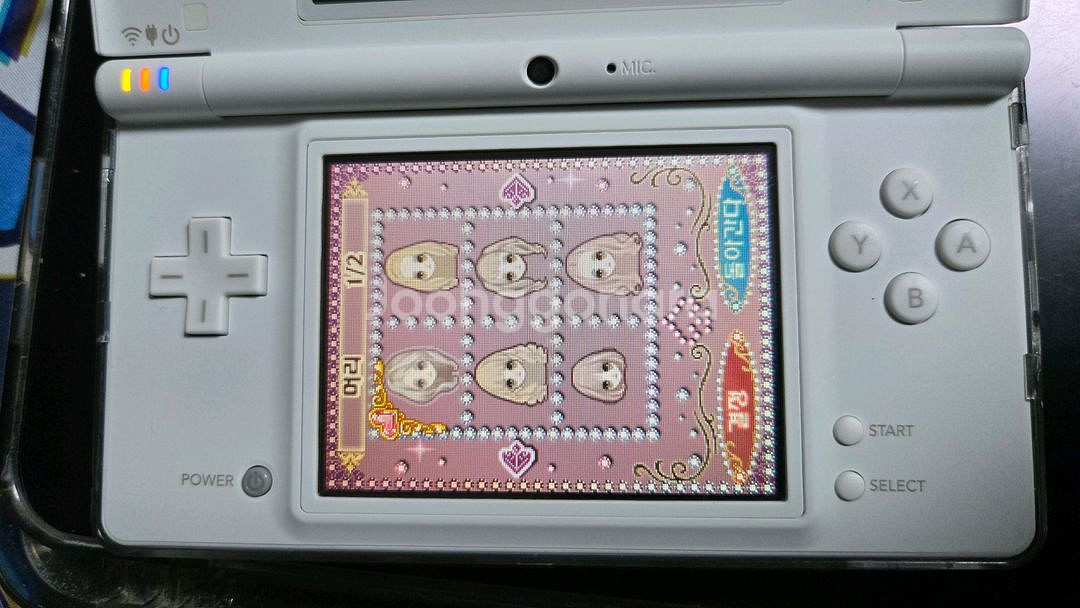 닌텐도 dsi , 핑키스트리트 ds--4