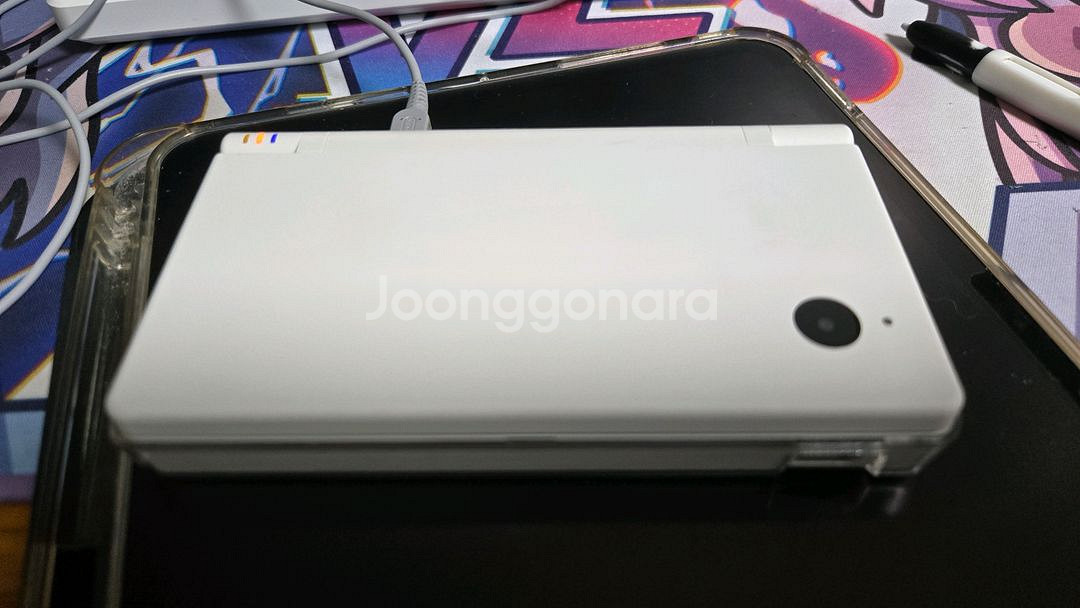 닌텐도 dsi , 핑키스트리트 ds--1