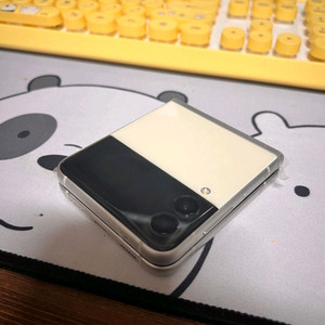 갤럭시플립3 256GB