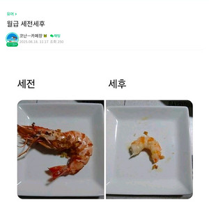 롯데시네마 2d 1인 예약