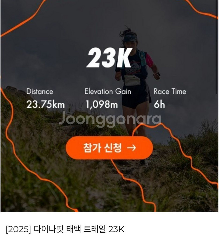 2025 다이나핏 태백 트레일 23k 양도--0