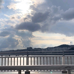 네이버 카페 판매합니다.