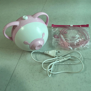 노시 부