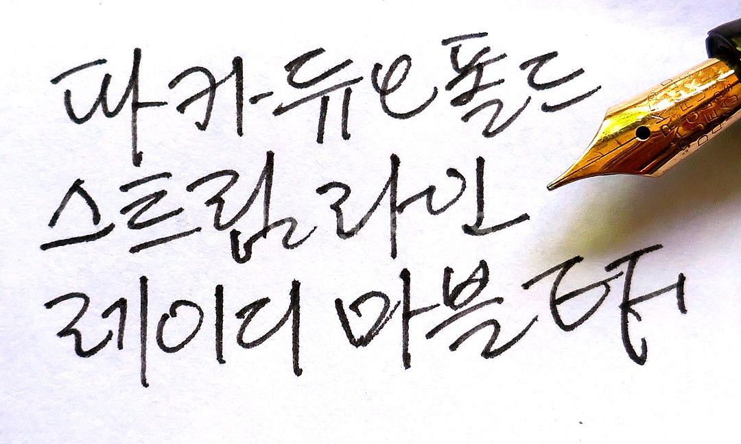 파카 듀오폴드 만년필 레이디 마블 - EF--8