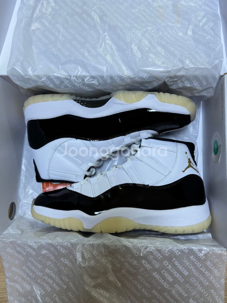 [275]조던11 그래티튜드--0