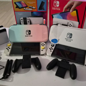 닌텐도 스위치oled 2개 + 동숲 칩 2개 + DLC