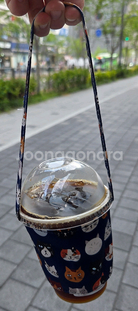 대만에서 구매해온 베이따이 패브릭 컵홀더--0