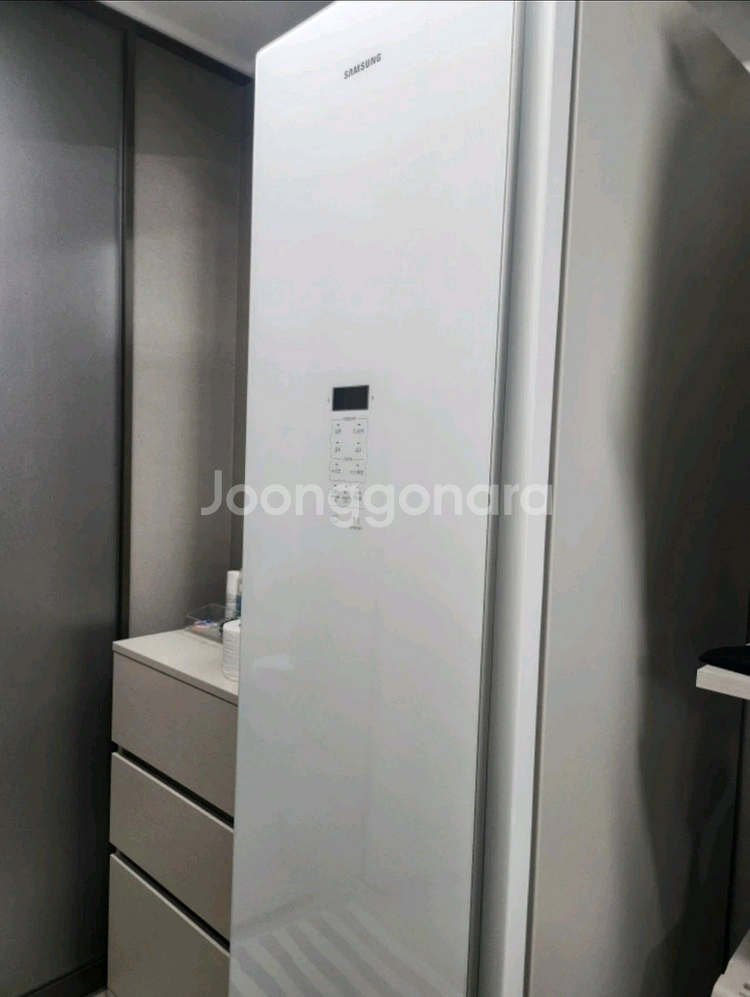 삼성전자 비스포크 에어드레서 DF60T8300WR 새제--1