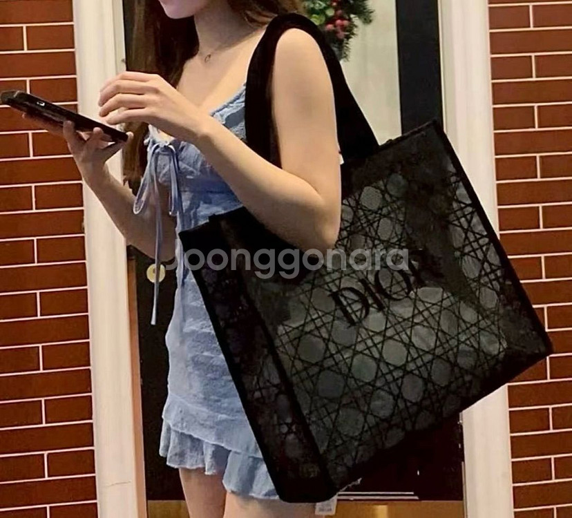 디올 메쉬 북토트백 새제품--0