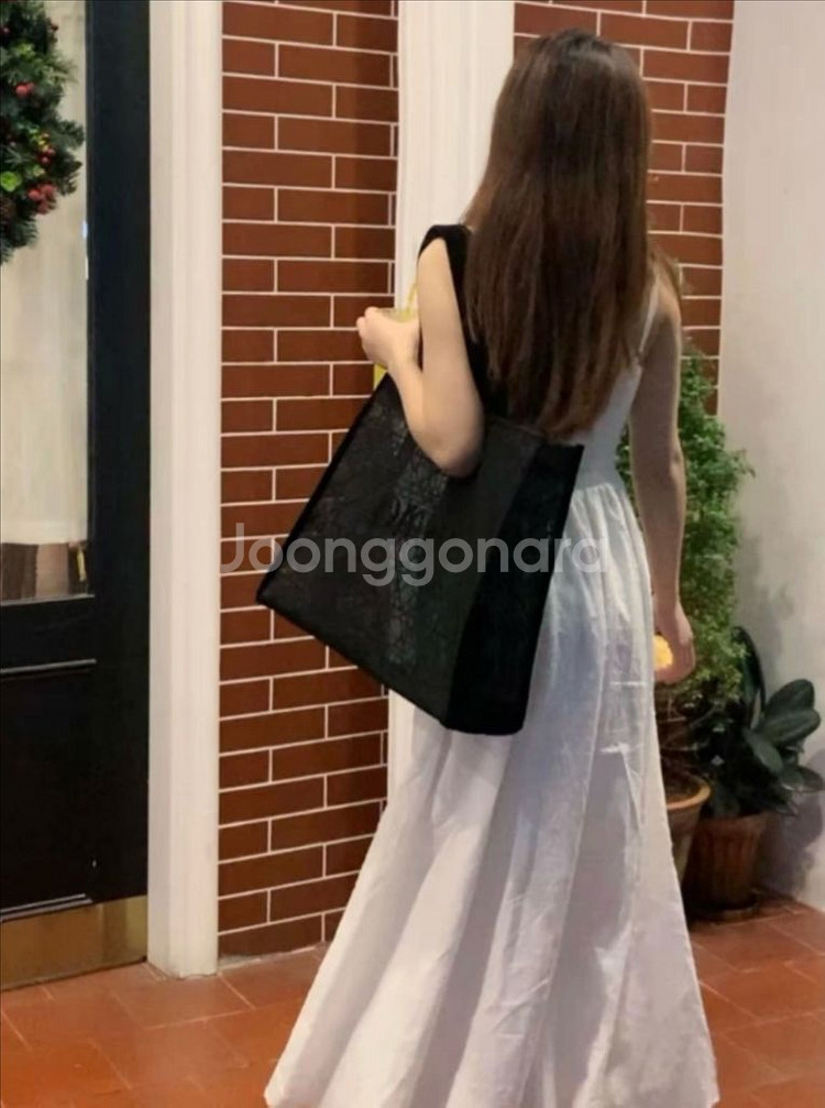 디올 메쉬 북토트백 새제품--1
