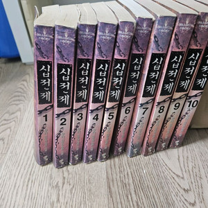 무협지 책 일괄정리합니다(10만원) 십전제,천검지애 등
