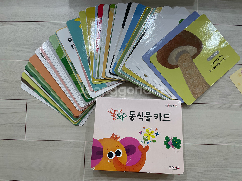 아람 놀라운자연 73권 +활동지 + 동식물카드 +cd--5