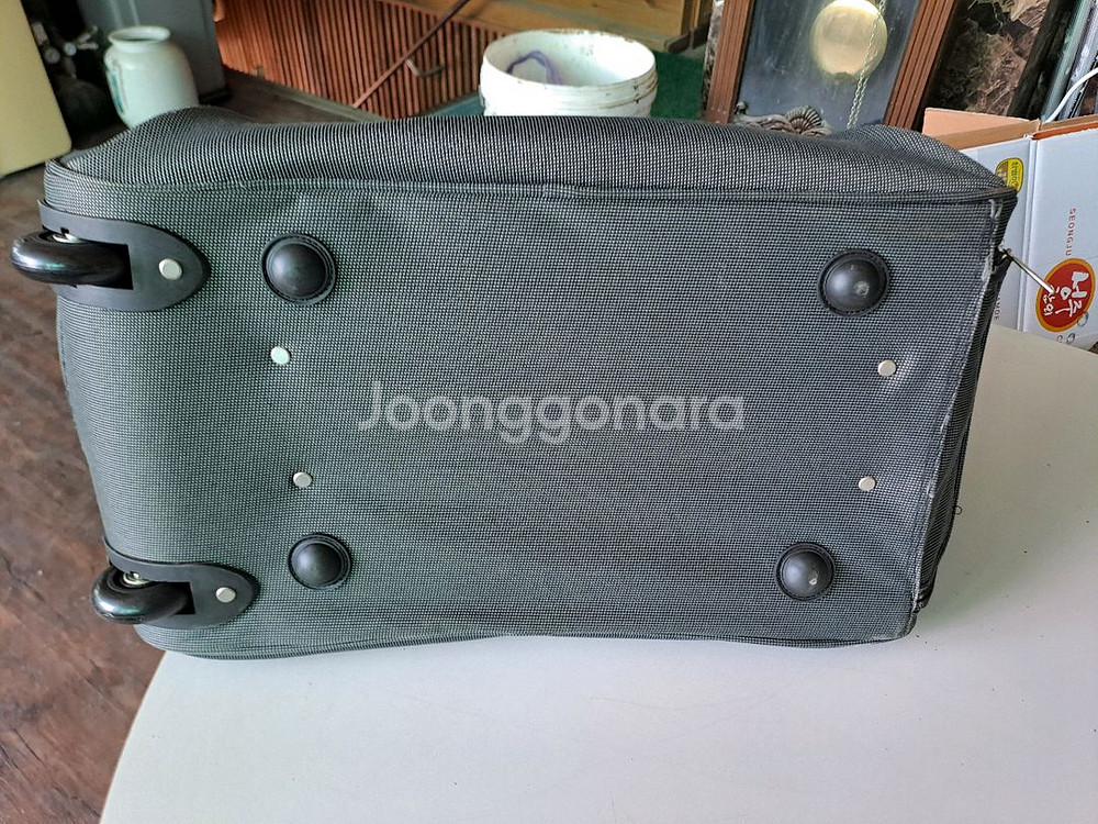 죠르지오 페리 보스턴 휠백--3