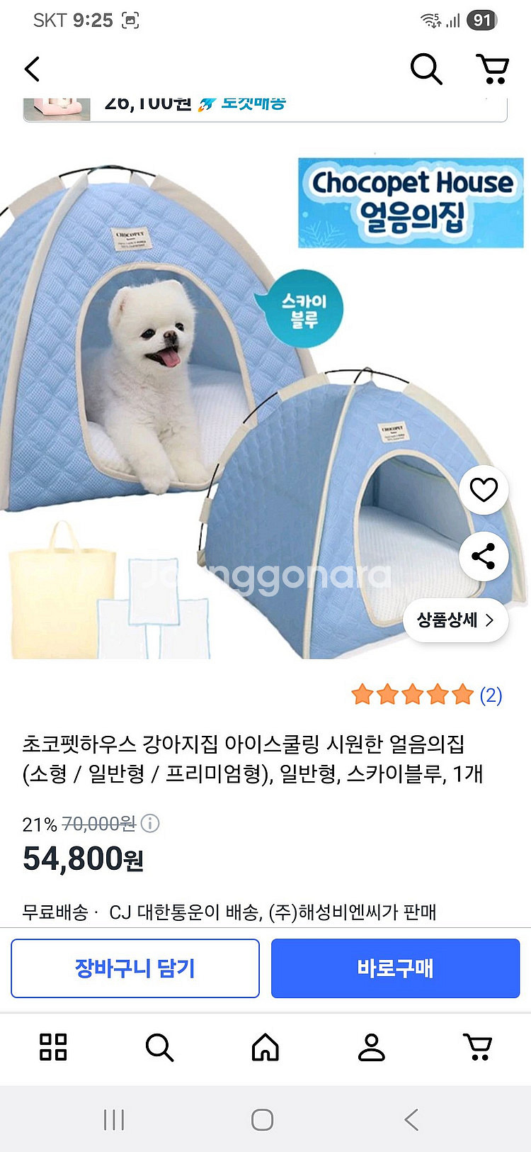 초코펫 강아지 쿨링 하우스--1