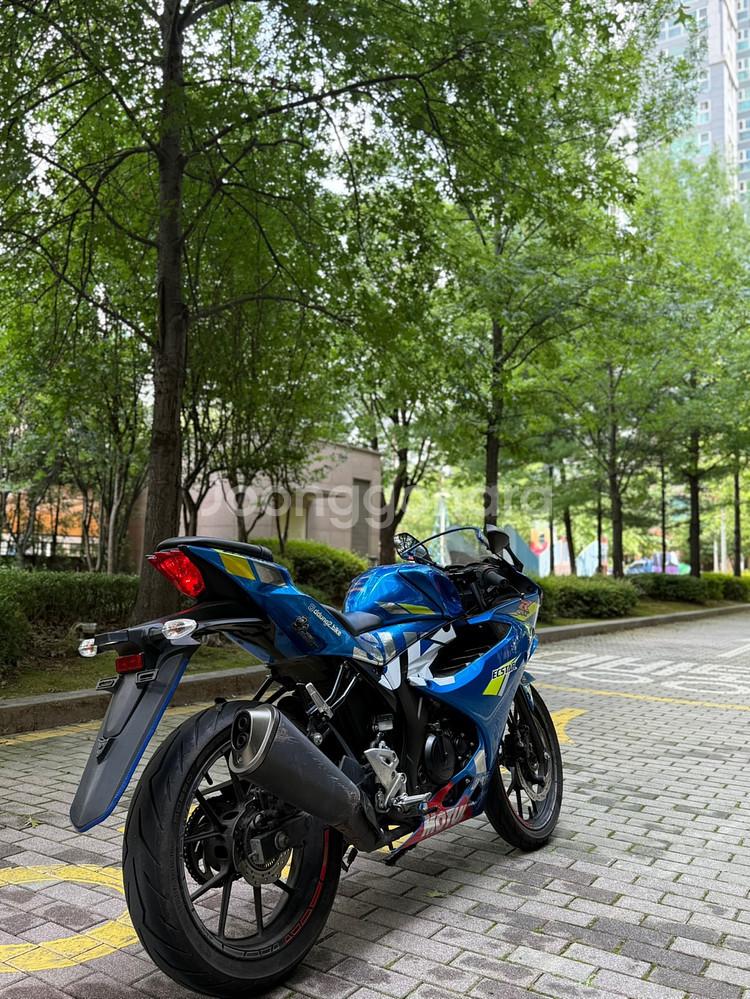 스즈키 GSX-R125 짧은키로수 입문용강추판매합니다--3