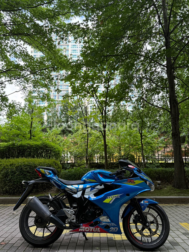 스즈키 GSX-R125 짧은키로수 입문용강추판매합니다--2