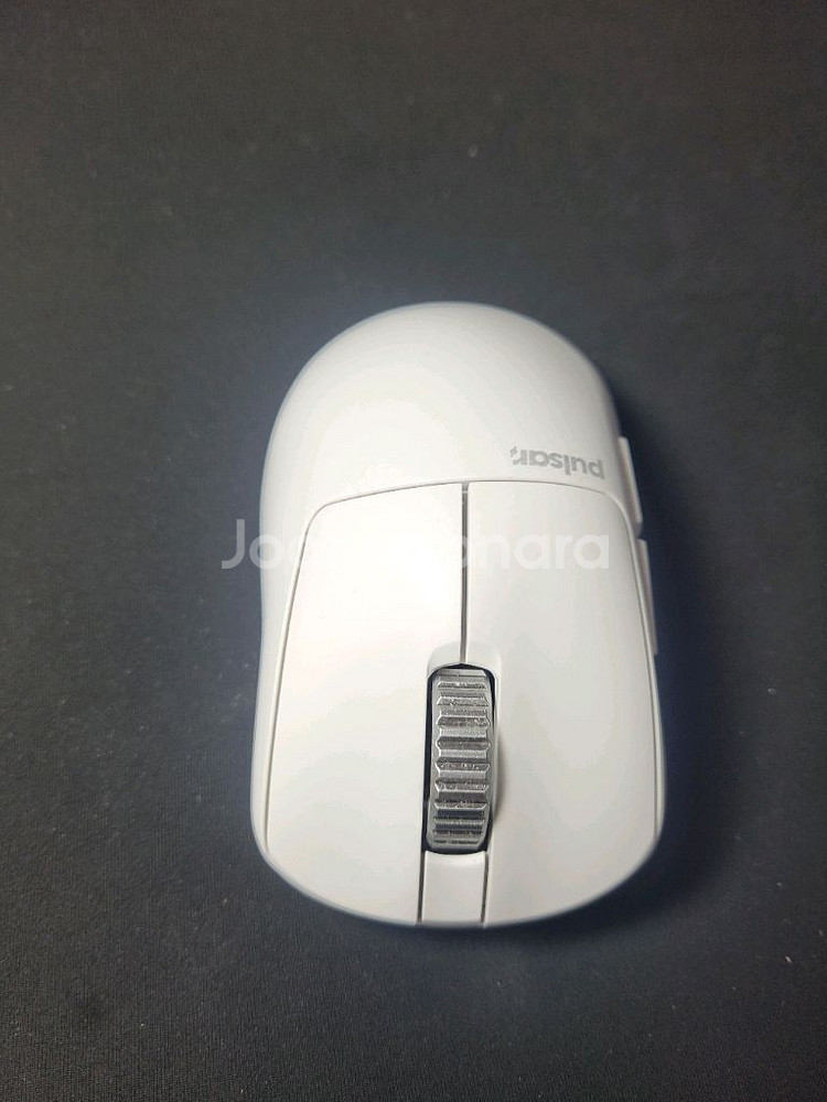 펄사 Xlite v3 es 화이트--4