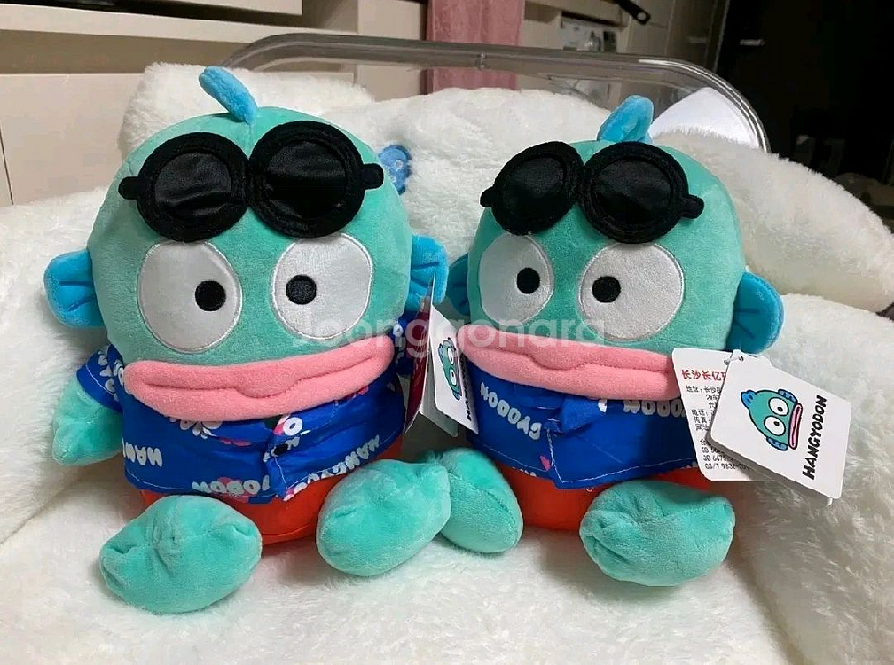 한교동 인형 22cm--0
