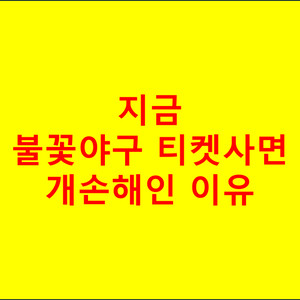 지금 불꽃야구 티켓사면 개손해인 이유