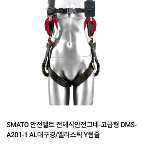 그네식 안전벨트