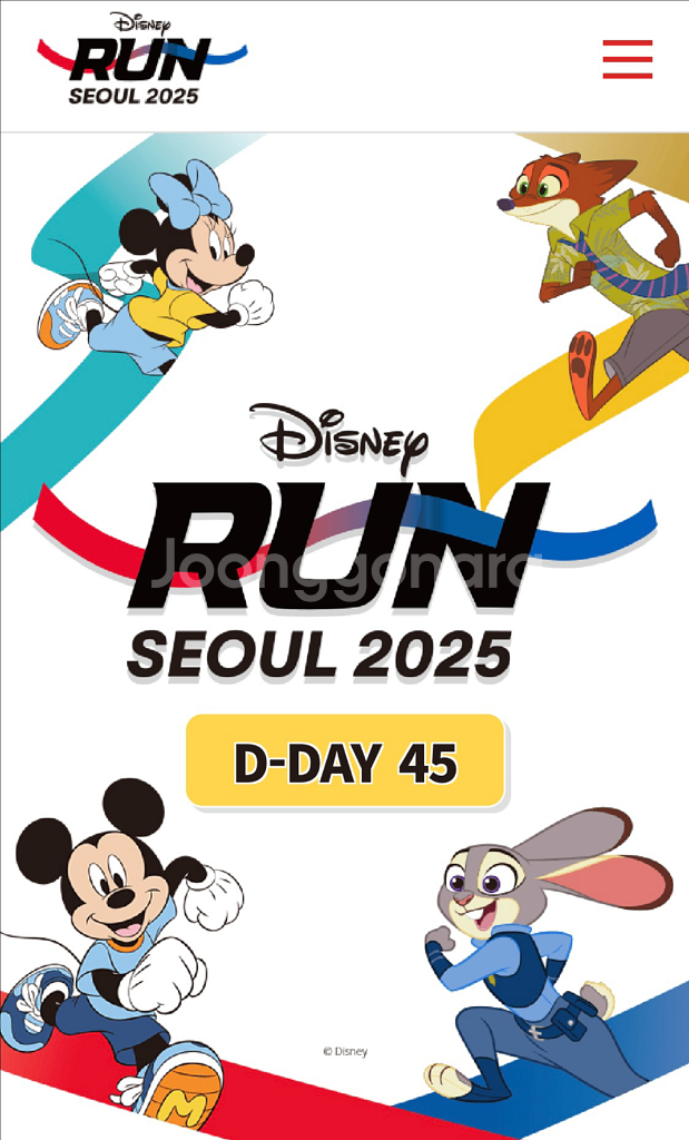 2025 디즈니런 10km 티켓 양도(여)--0