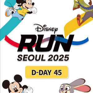 2025 디즈니런 10km 티켓 양도(여)