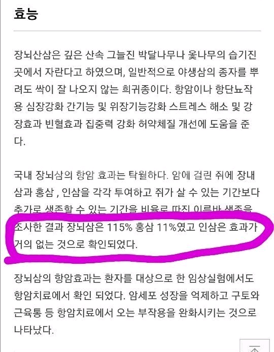 백두산 18년근 장뇌삼--2