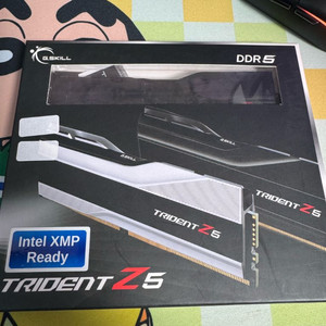g.skill ddr5 32gb 6000 cl36 블랙