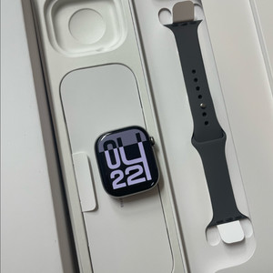 애플워치10티타늄 46mm 내추럴 SSS급
