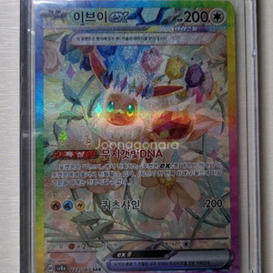 포켓몬카드 이브이 sar S급 팝니다