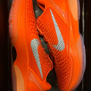 코비6 프로트로 토탈 오렌지 255사이즈