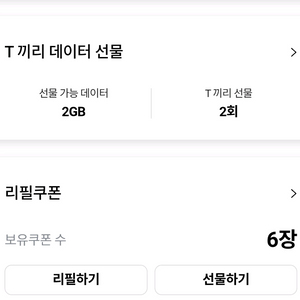 skt 데이터 2G