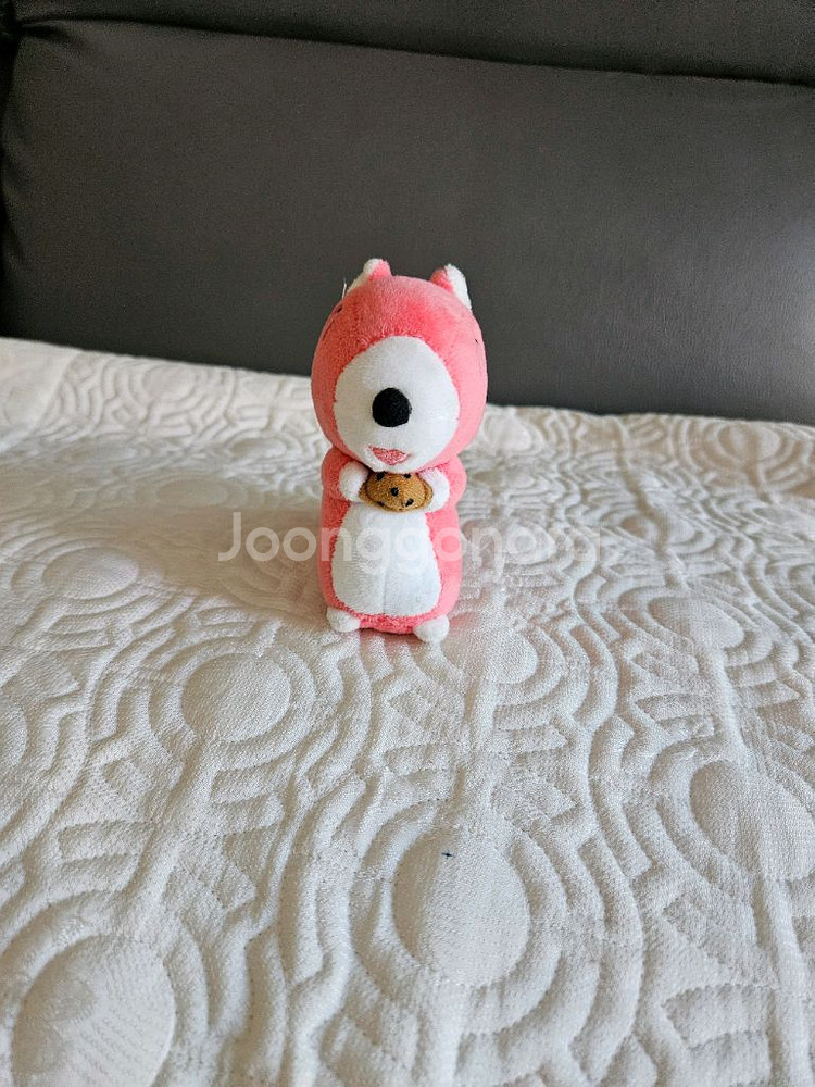 보노보노 포로리 인형 키링--1