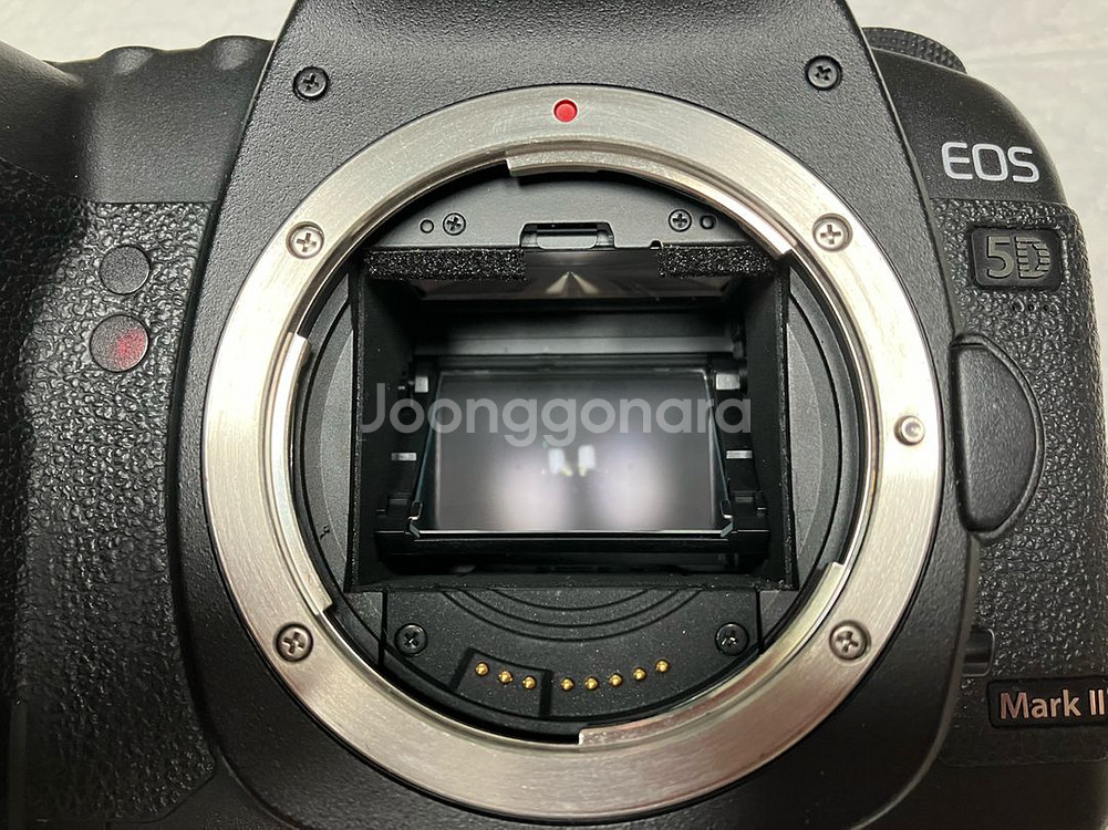 캐논 5d2(5d mark2) 오두막+40mm 팝니다--7