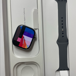 애플워치10티타늄 내추럴 46mm SSS급