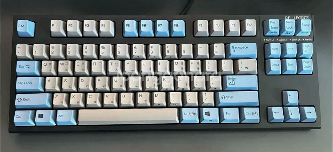 리얼포스 R2 TKL 일반 균등 45g--0