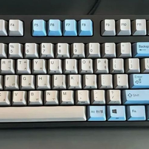리얼포스 R2 TKL 일반 균등 45g