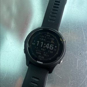 가민 포러너 255 뮤직