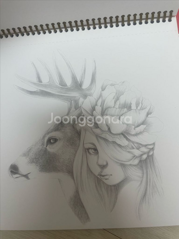 아브뉴만다린, eriy, 경복궁 컬러링 묶음판매--2