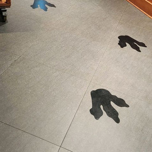 포크레인 공주시 하루 해주세요.마당 고르기