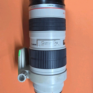 캐논 줌렌즈 EF 70-200mm 엄마백통