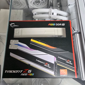 지스킬 Trident Z5 ddr5 32gb 화이트