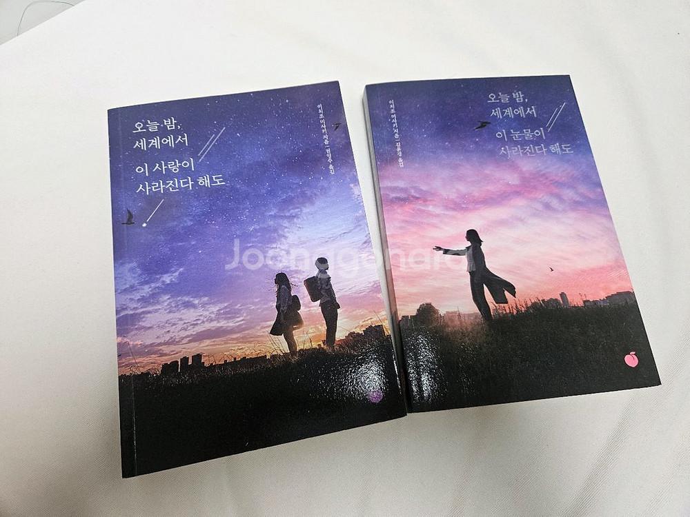오늘 밤, 세계에서 이 사랑이 사라진다 해도--0