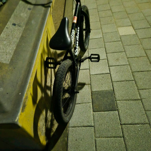 선데이bmx