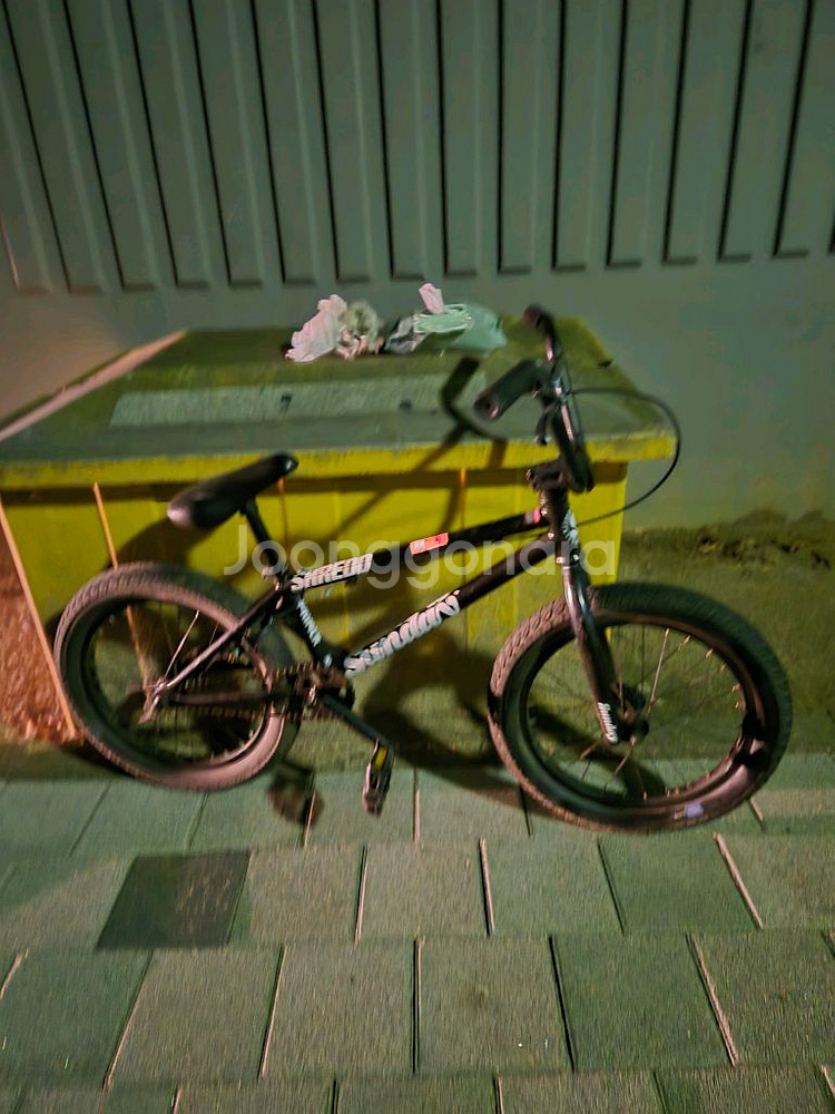 선데이bmx--2