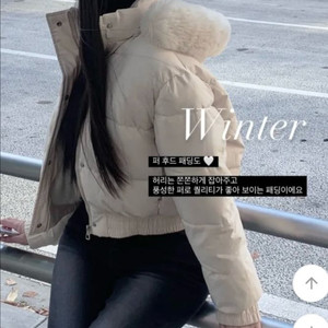 퍼안감 미니 숏패딩