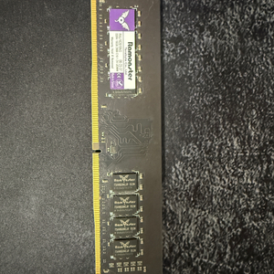 Terabyte Ramonster D4 8GB
