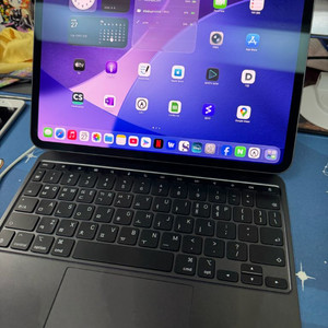 아이패드 프로 11 m4 wifi 256gb