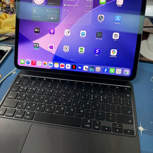 아이패드 프로 11 m4 wifi 256gb